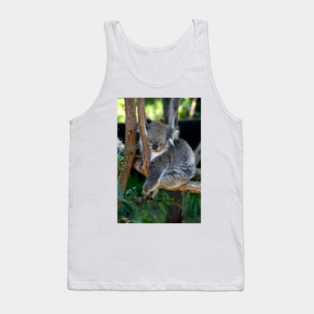 It's Hard Work Being A Koala Tank Top by GP1746